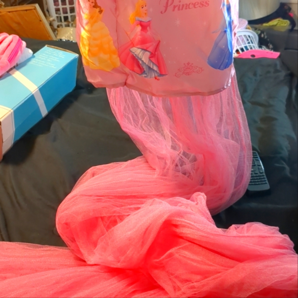 Disney Princess Canopy in Pink